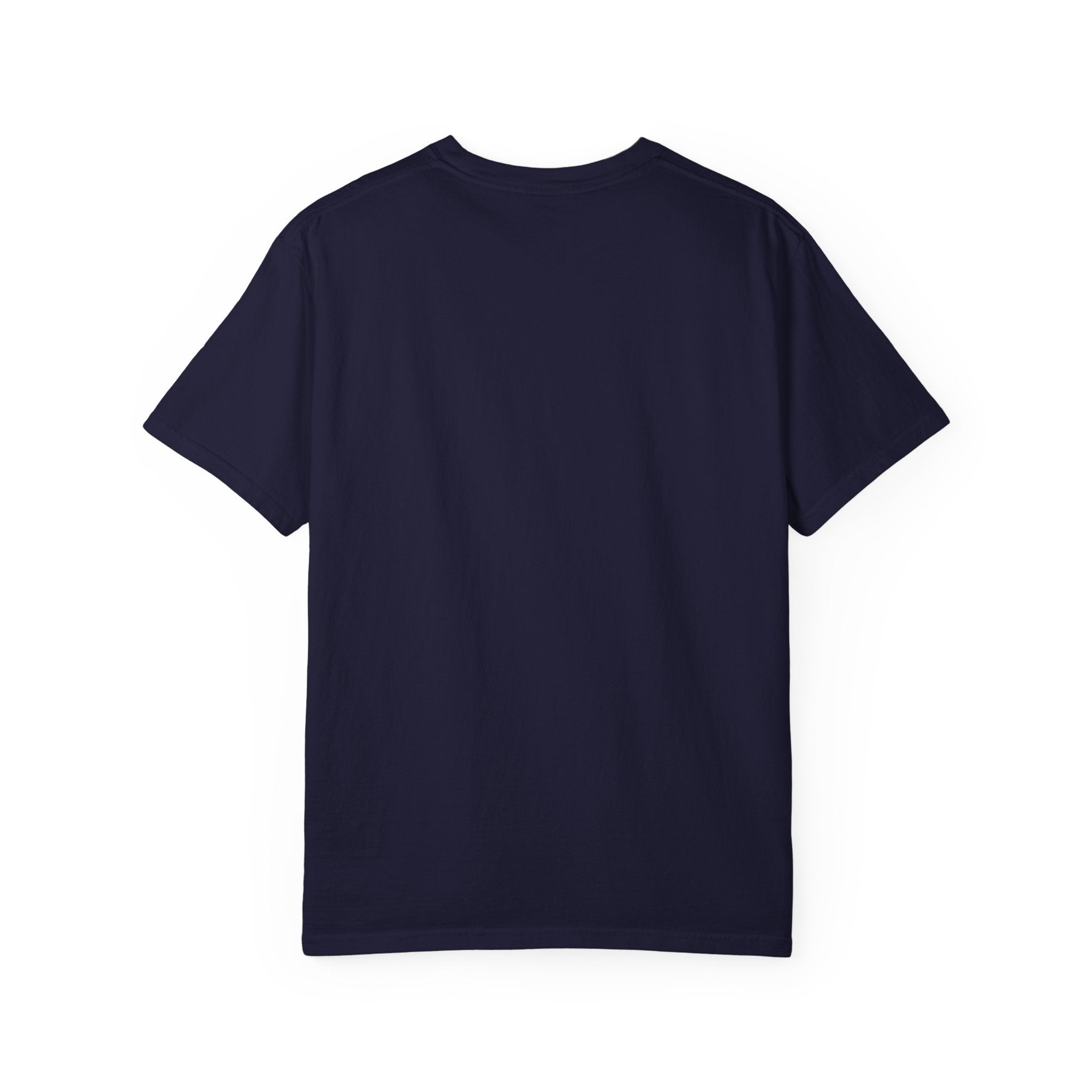 Discipline Builds Freedom T-Shirt | Stoic Motivational Graphic Tee | Vintage Gym Shirt | Marcus Aurelius