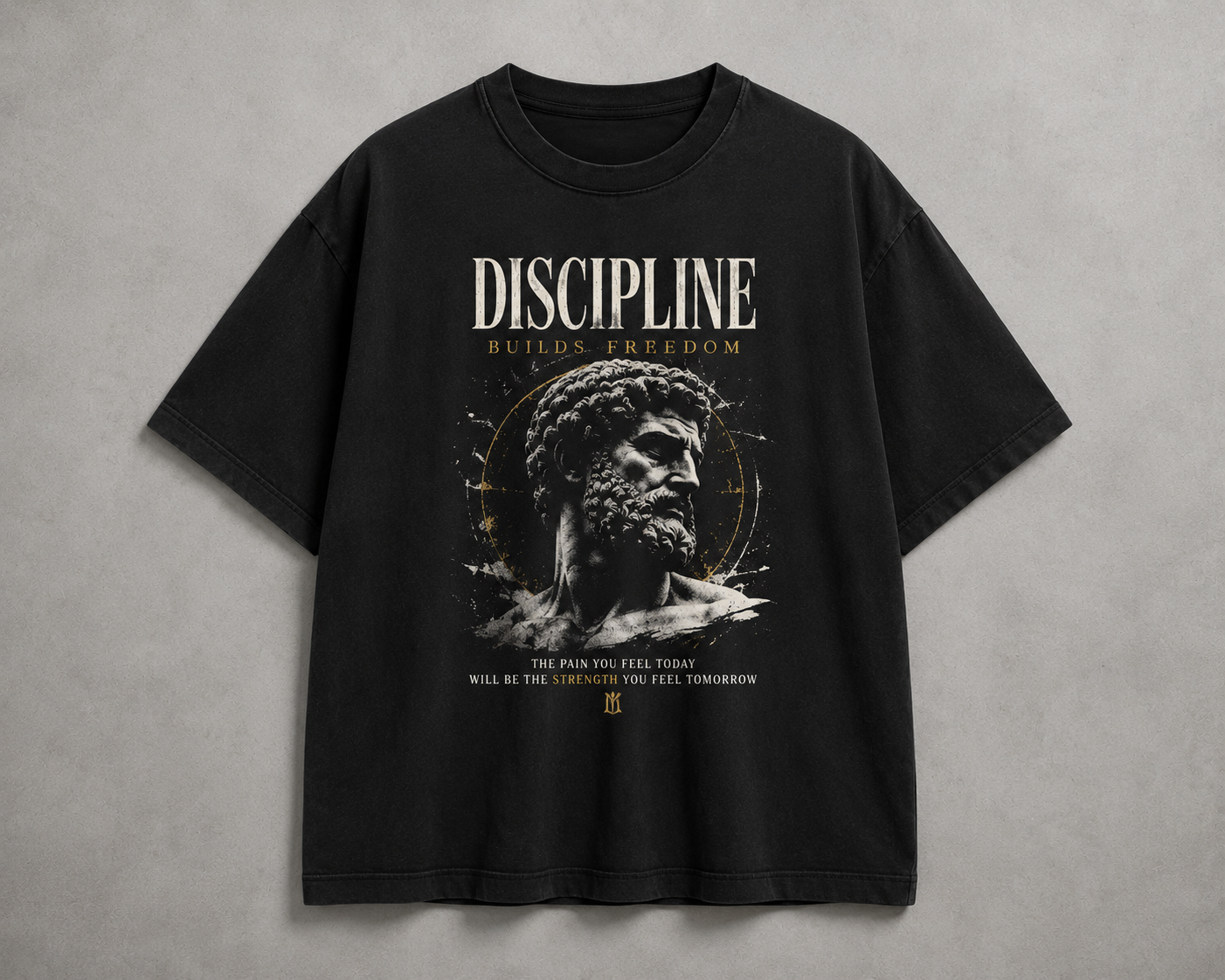 Discipline Builds Freedom T-Shirt | Stoic Motivational Graphic Tee | Vintage Gym Shirt | Marcus Aurelius