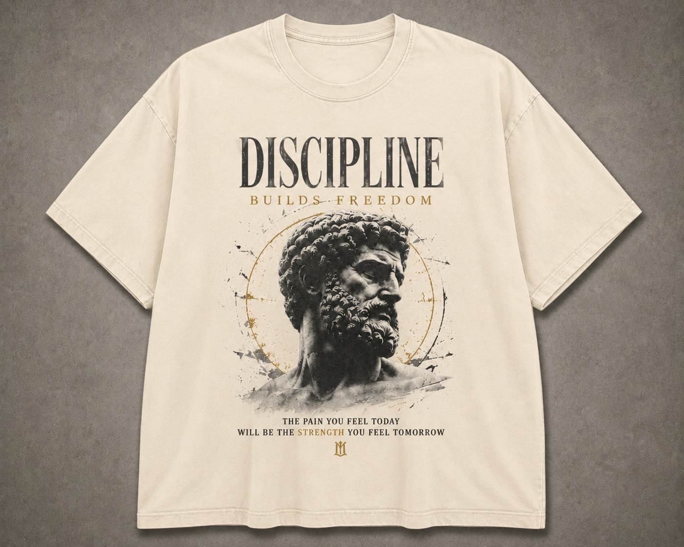 Discipline Builds Freedom T-Shirt | Stoic Motivational Graphic Tee | Vintage Gym Shirt | Marcus Aurelius