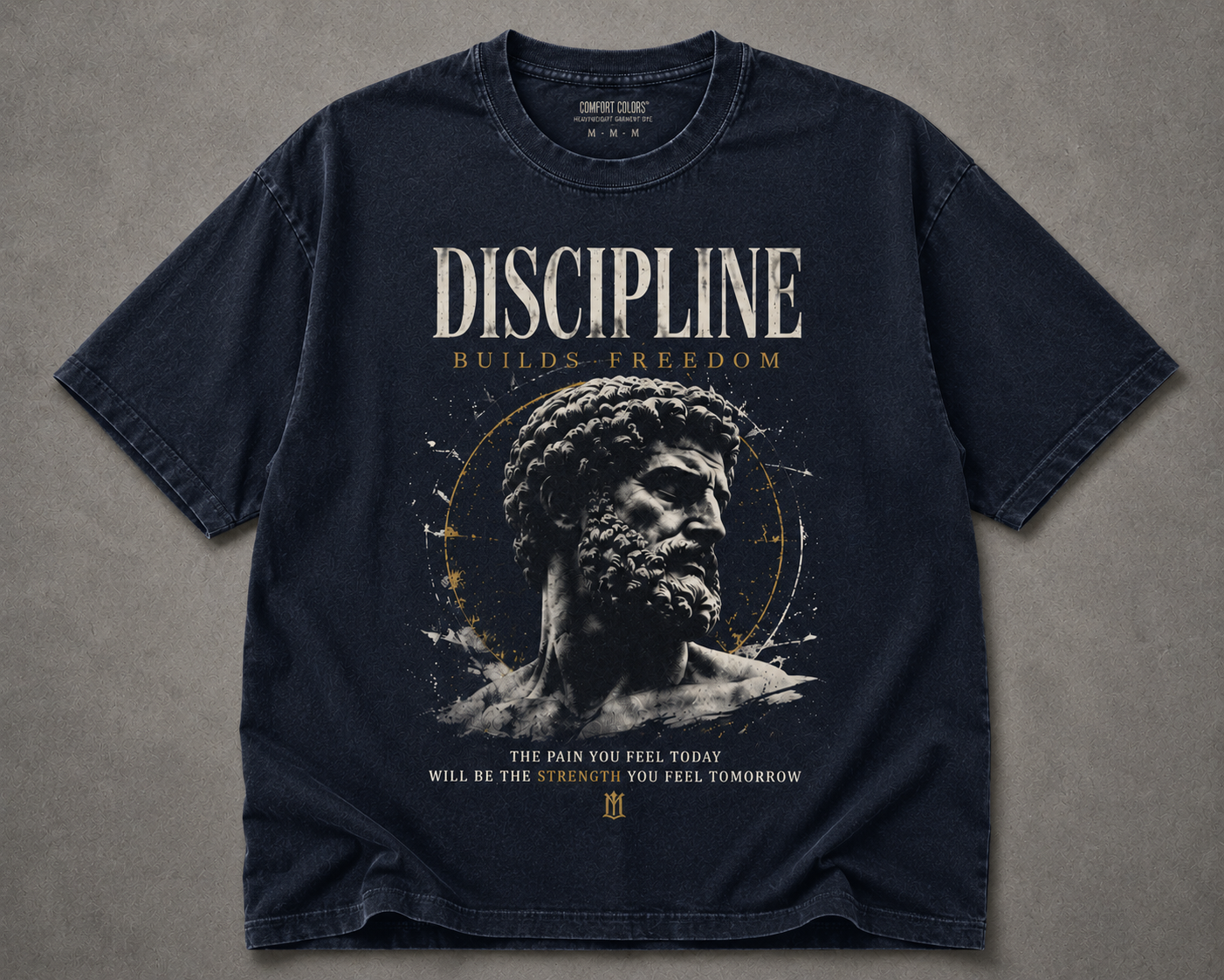 Discipline Builds Freedom T-Shirt | Stoic Motivational Graphic Tee | Vintage Gym Shirt | Marcus Aurelius
