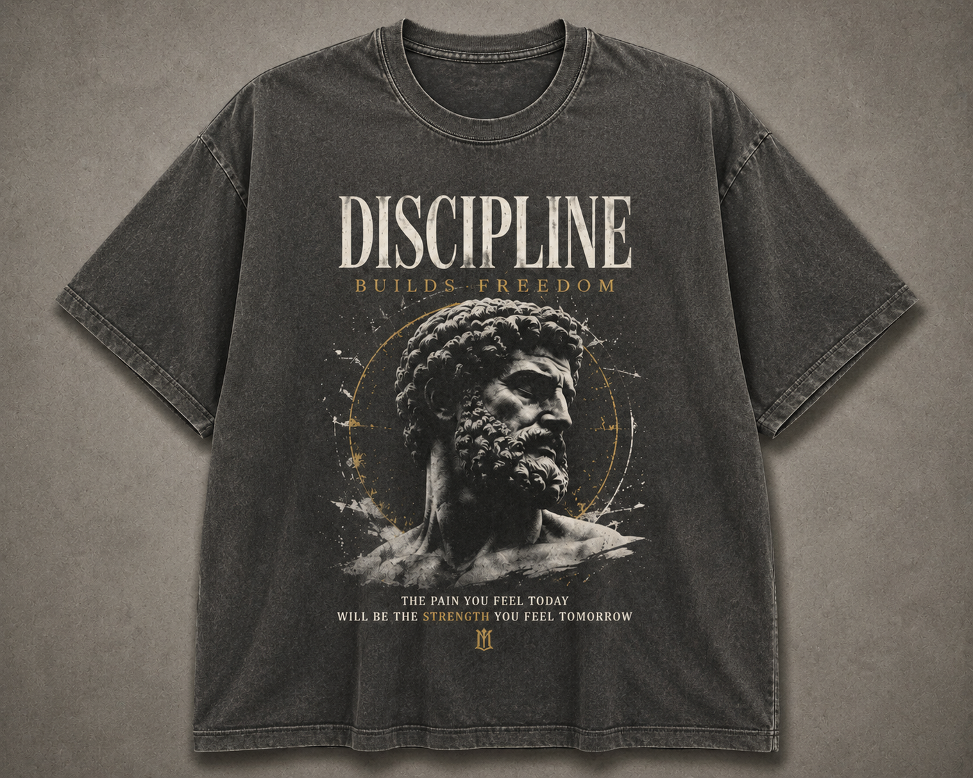 Discipline Builds Freedom T-Shirt | Stoic Motivational Graphic Tee | Vintage Gym Shirt | Marcus Aurelius