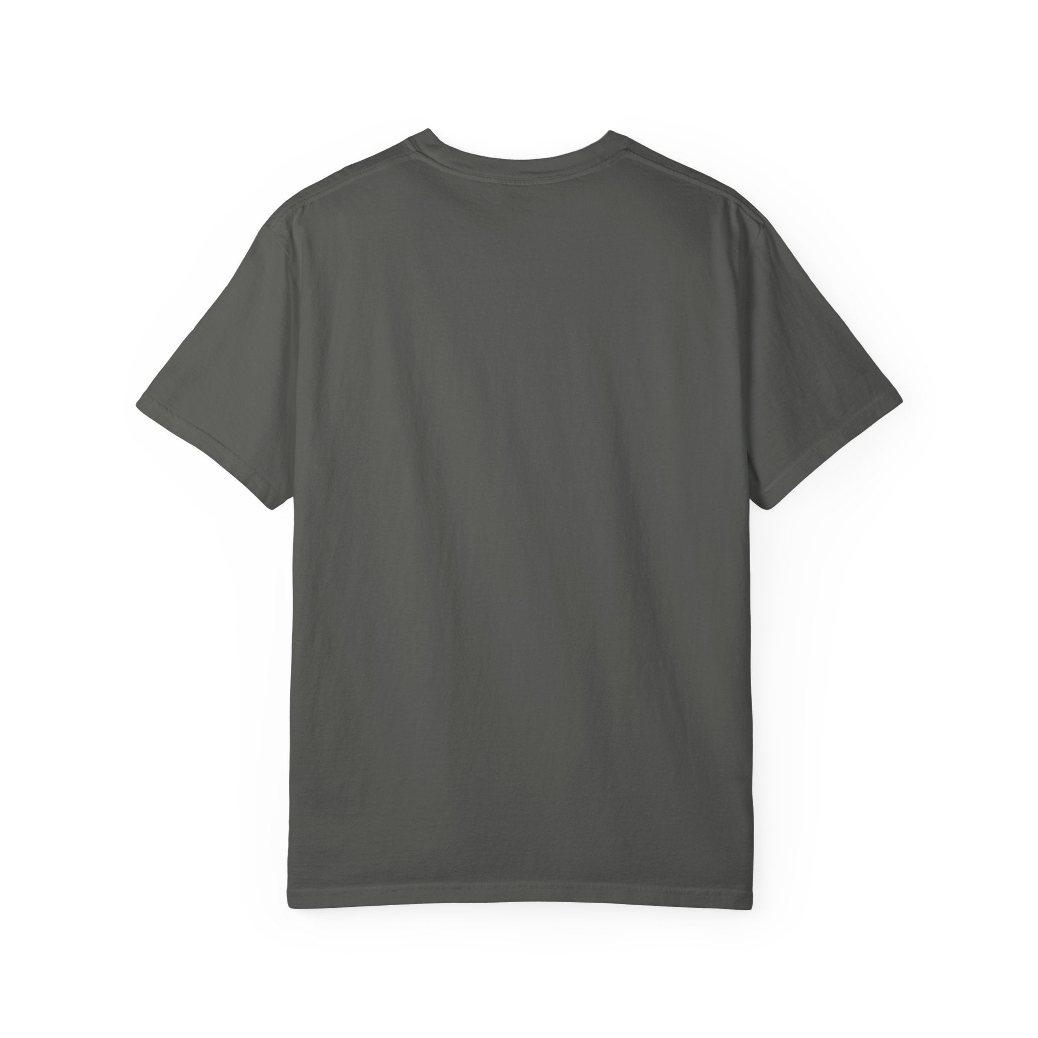 Discipline Builds Freedom T-Shirt | Stoic Motivational Graphic Tee | Vintage Gym Shirt | Marcus Aurelius